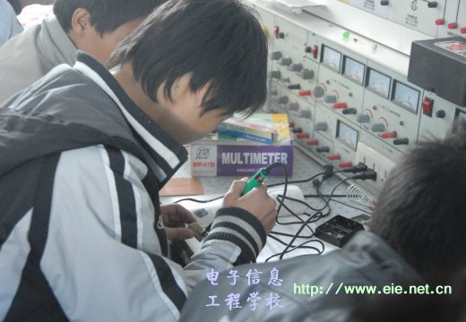 李良老師課堂上學(xué)生專心致志的做實驗