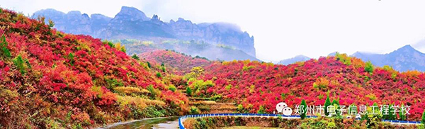 微信圖片_20191105073016.jpg