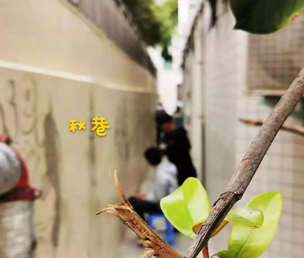 微信圖片_20191105145518.jpg
