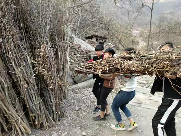 微信圖片_20191105165754.jpg