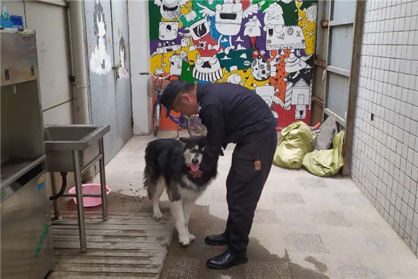 安保人員周武迅速將哈士奇犬穩(wěn)定住.jpg