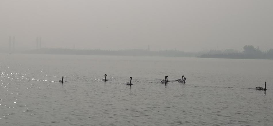 微信圖片_20201116081903.jpg